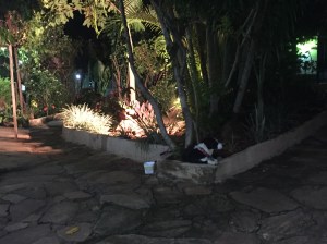 Restaurante Flor do Ipe